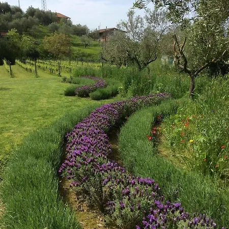 La Valle Gospodarstwo wiejskie *